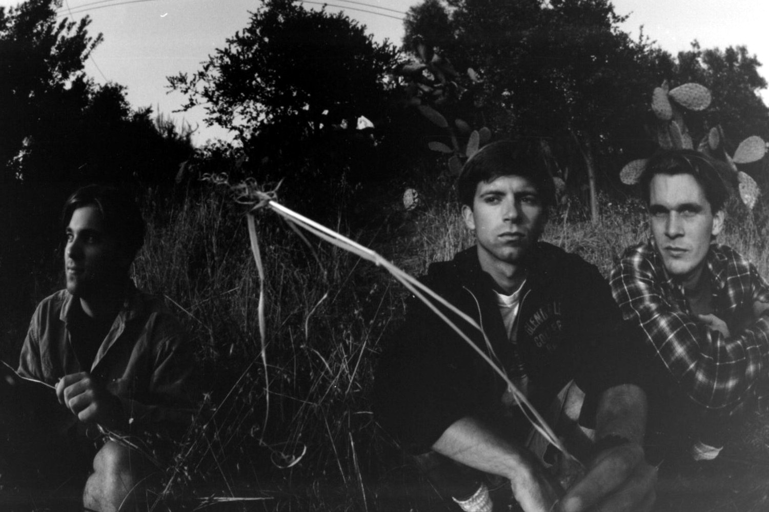 The band sitting in tall grass
